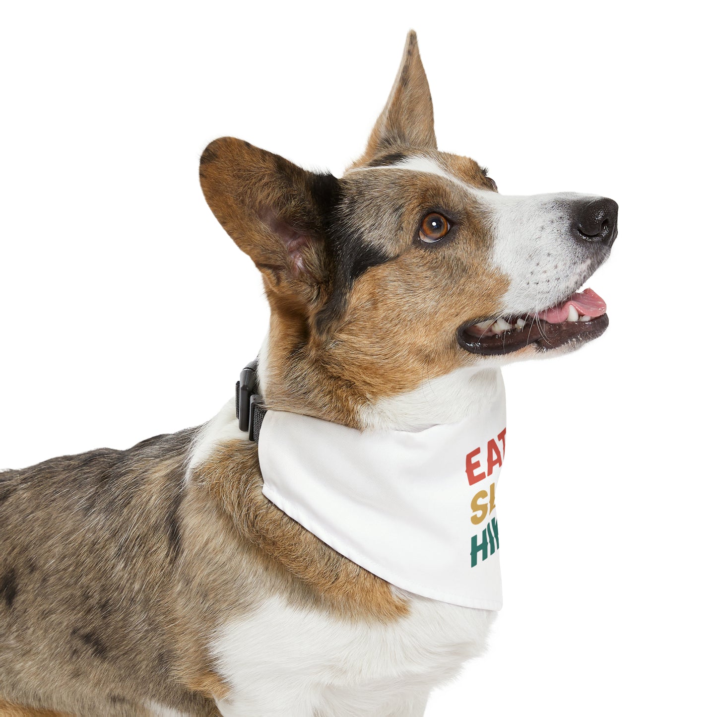Eat Sleep Hike Pet Bandana Collar